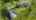Blurred preview of media: 8