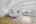 Blurred preview of media: 5106_Paseo_del_Pavon_032
