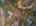 Blurred preview of media: 229 Highlands Drive , Breckenridge, Colorado, 80424 - Web-72