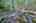 Blurred preview of media: IMG_4784_5_6_easyHDR