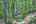 Blurred preview of media: IMG_4595_6_7_easyHDR