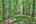 Blurred preview of media: IMG_4652_3_4_easyHDR