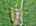 Blurred preview of media: DJI_20260609113646_0668_D_7_0669_D_7_0670_D_easyHDR
