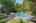 Blurred preview of media: Nerine_019