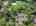 Blurred preview of media: 51-roosevelt-trail-hopatcong-nj-usa-drone-009