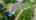 Blurred preview of media: DJI_0185