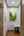 Blurred preview of media: 2025_01_January_47_Major_Ridge_Rd_0077