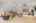 Blurred preview of media: 24 Rocky Dundee Road Bolton Massachusetts Job 40312 0036