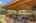 Blurred preview of media: IMG_1992