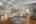 Blurred preview of media: DSC01723