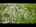 Blurred preview of media: Unknown media