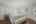 Blurred preview of media: DSC03396