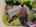 Blurred preview of media: 1-19