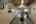 Blurred preview of media: 77242 London Rd-29