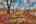 Blurred preview of media: IMG_8272_3_4_easyHDR