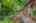 Blurred preview of media: 04