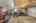 Blurred preview of media: 315 Lowell Street Methuen Massachusetts Job 40300 0044