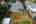 Blurred preview of media: 1-34