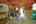 Blurred preview of media: IMG_3213_4_5