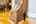 Blurred preview of media: 081A0192-Edit