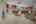 Blurred preview of media: 13