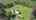 Blurred preview of media: DJI_0897