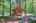 Blurred preview of media: IMG_4682_3_4_easyHDR