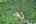 Blurred preview of media: DJI_0163_4_5_easyHDR