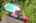 Blurred preview of media: 3.3
