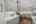 Blurred preview of media: DSC09740