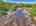 Blurred preview of media: DJI_20250802143252_0547_D_8_D_9_D_easyHDR