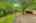 Blurred preview of media: 11