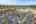 Blurred preview of media: 1-39