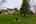 Blurred preview of media: 77242 London Rd-48