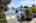 Blurred preview of media: 1-55
