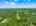 Blurred preview of media: 1-726-0871