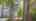 Blurred preview of media: 141Poinsettia-3