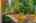 Blurred preview of media: 1-42
