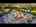 Blurred preview of media: Unknown media