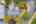 Blurred preview of media: 1-49