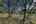 Blurred preview of media: 07 4200-havenrock