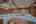 Blurred preview of media: Dorothy Gayle-53