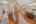 Blurred preview of media: PAX_3048