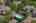Blurred preview of media: Aerial 11