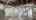 Blurred preview of media: 200 N Indiana Ave-29
