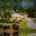 Blurred preview of media: 1-926--2