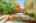 Blurred preview of media: 64 Ravina Cres, Ancaster _ Nathan Ferro143