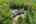 Blurred preview of media: 049