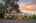 Blurred preview of media: 1-1