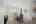 Blurred preview of media: DSC09272
